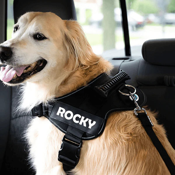 Cinturón de Seguridad Ajustable para Perros