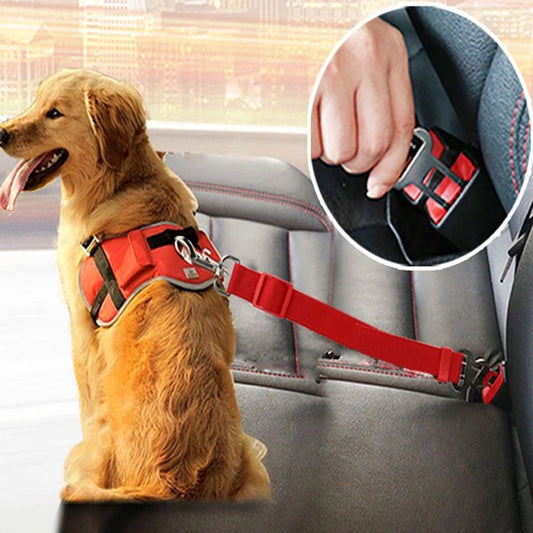 Cinturón de Seguridad Ajustable para Perros